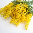 thumbnail image 4 of Nvzi 6pcs Artificial Albizia Julibrissin Fake Acacia Yellow Flowers Mimosa Leaves Flocking Plants for Home Garden Decor, 4 of 5