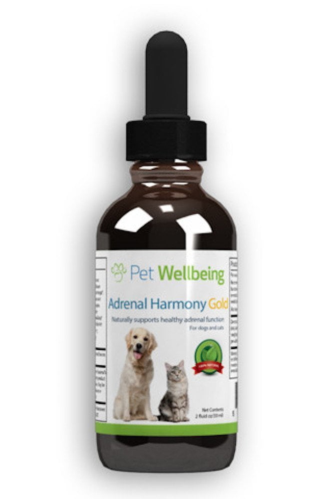 Pet Wellbeing Adrenal Harmony Gold for Dog Cushing's