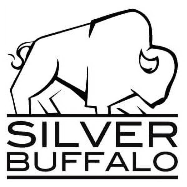 Silver Buffalo Stainless Steel Insulated Tumbler, 20 oz., Matte Silver