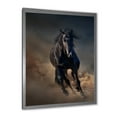 thumbnail image 2 of Designart 'Close Up Of Thoroughbred Nonius Stallion Horse I' Farmhouse Framed Art Print, 2 of 4