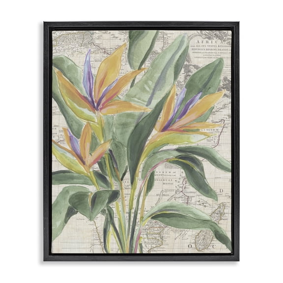 Stupell Industries Bird of Paradise over Map Floral Painting Black Floater Framed Canvas Art Print Wall Art, 17 x 21