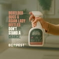 thumbnail image 2 of Boxelder Bug & Asian Lady Beetle Spray – Natural, Plant-Based Indoor Outdoor Killer | Non-Staining, Safe for Doors, Windows, Siding Baseboards Child Pet Safe, Low Odor, Eco-Friendly (22 oz), 2 of 3