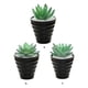 thumbnail image 5 of Matsuzay Bonsái Artificial paisaje interior simulación decorativa suculenta miniatura Mini plantas adornos de arreglo de escritorio Decoración Tipo3, 5 of 6