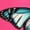 Hot Pink, variant on Funny Butterfly Print Pajamas Pants Women Elastic Waisted Loose Straight Leg Trousers Comfy Soft Loungewear