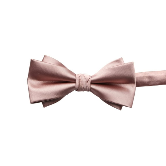 Professional Silk Tie for Men Formal Occasion Bowtie Men Necktie Suit Bowtie for Wedding Business Meeting Tie Neckwear