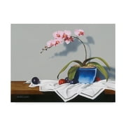 Trademark Fine Art 'Plums And Orchids' Canvas Art by Cecile Baird