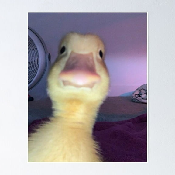 Poster Duckling - No Framed, Vintage Wall Art, Trendy Retro Print, Positive Quote Poster, Room Decor, Wall Art, 8x12