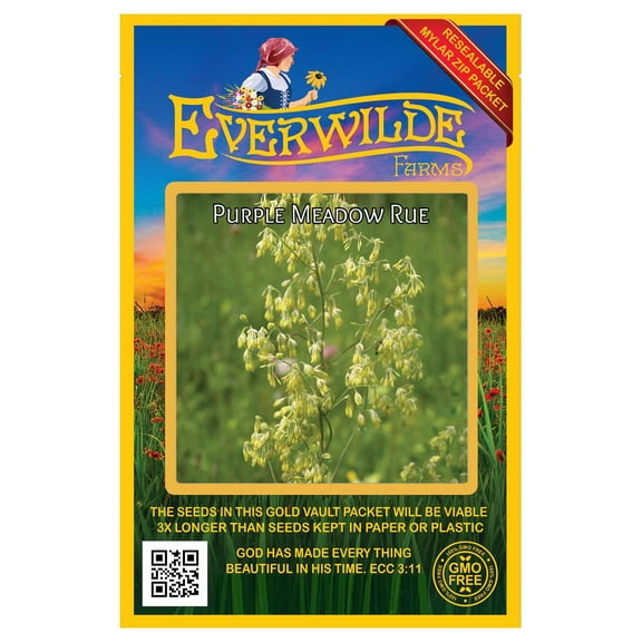 Everwilde Farms - 300 Purple Meadow Rue Native Wildflower Seeds - Gold Vault Seed Packet