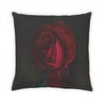 thumbnail image 2 of Ahgly Company Color Focus Red Outdoor Throw Pillow, 18 inch by 18 inch, 2 of 6