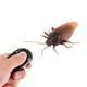 thumbnail image 4 of Juguete de Travesura simulación animal Cucaracha control Remoto Infrarrojo Sunnimix, 4 of 8