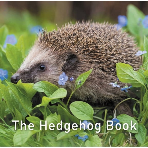 The Hedgehog Book (Hardcover)