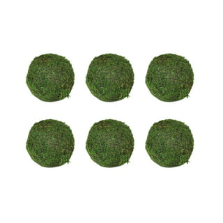 NUOLUX 2pcs Preserved Moss Decorative Moss Balls Decor Balls Green