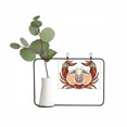 thumbnail image 1 of Cancer Constellation Zodiaque Symbole Métal Cadre Cerac Vase Décor, 1 of 2