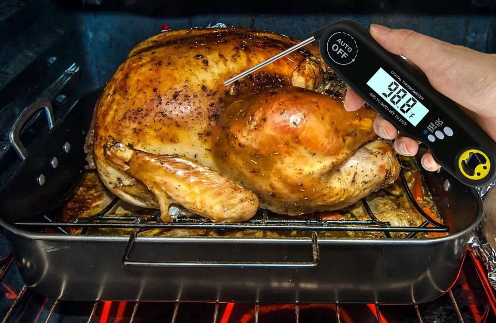 LAATIKUI Meat thermometer food grill measurement waterproof probe thermometer
