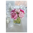 thumbnail image 6 of WGV Cube Glass Vase Bulk, Candle Holder, 3"x3"x3", Clear Floral Accent Container Planter Terrarium Storage for Wedding Party Ceremony Event Office Home Decor, 24 Pieces, 6 of 8