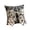 E #2, variant on ZZAIXHL 1Pcs Ghost Spiderweb Halloween Decorations Indoor Throw Pillow Cases Standard Size 18x18 Double Sided Print Pattern with 3D Bow 4 Styles to Choose