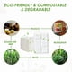 thumbnail image 5 of Bandejas escolares desechables Vplus, 100% compostables, platos de papel con 5 compartimentos, paquete de 100, 5 of 7