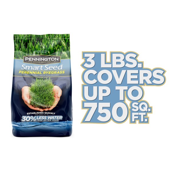 Pennington Ryegrass Grass Seed, 3 lbs
