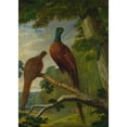 thumbnail image 2 of John Frederick Herring Snr. 11x14 Black Ornate Wood Framed Double Matted Museum Art Print Titled: A Pheasant Cock and Hen (1825), 2 of 5