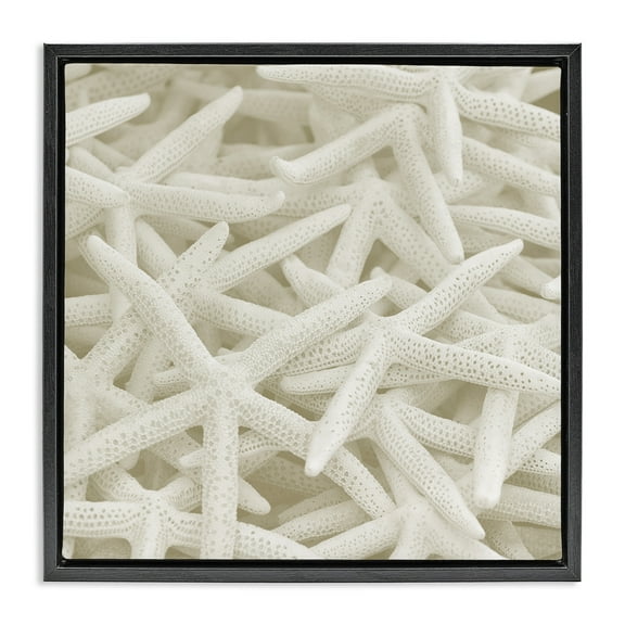 Stupell Industries Nautical White Starfish Photography Nature Photography Black Floater Framed Canvas Art Print Wall Art, 18 x 18