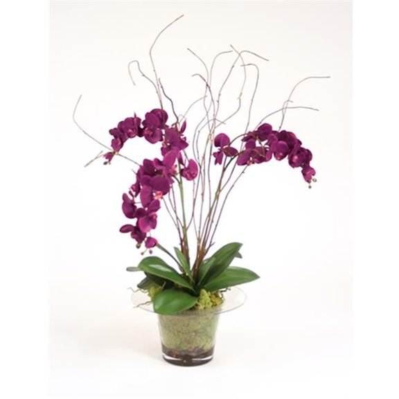 Distinctive Designs International  7523 Silk Violet Orchid With Kiwi Vines- Birch Twigs And Preserved Orchid Bark In Glass Planter