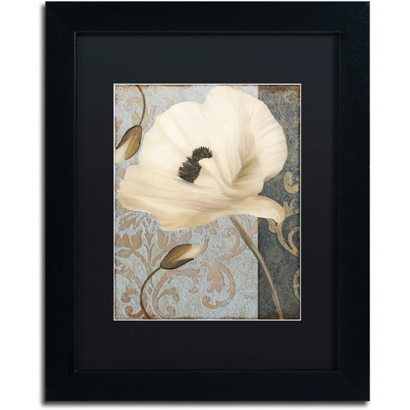 Trademark Fine Art "Poppy Brocade II" Canvas Art by Color Bakery Black Matte, Black Frame