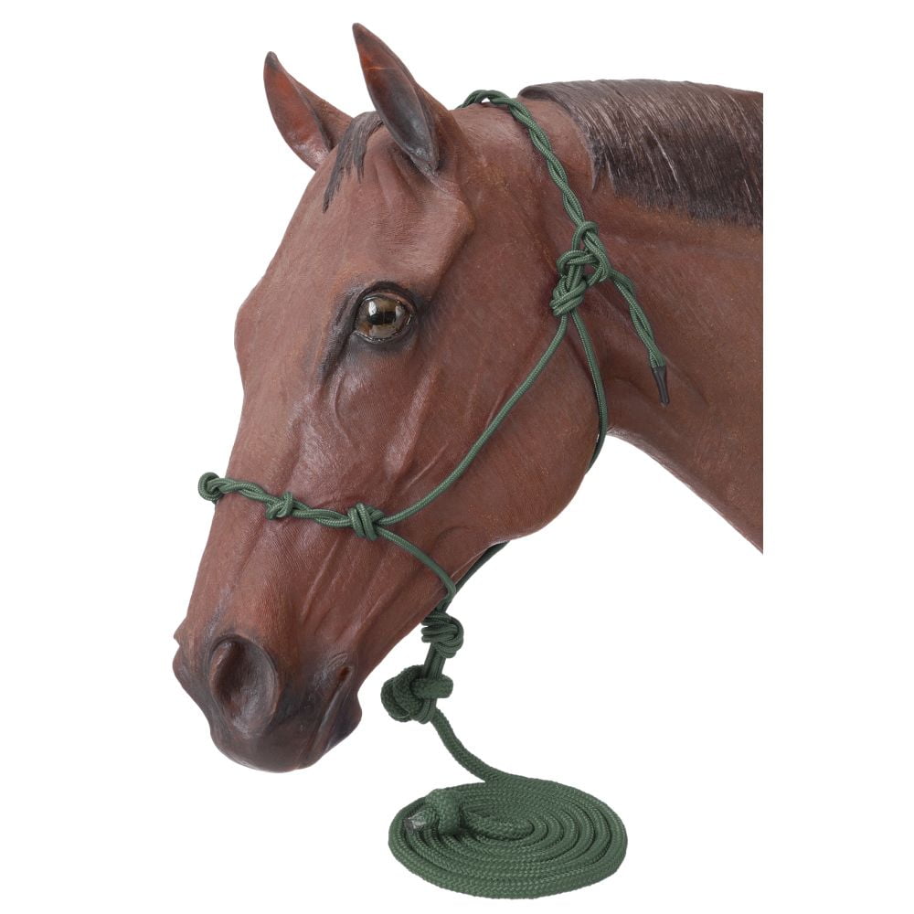 Amazon.com: Tough 1 Miniature Poly Rope Halter with Lead