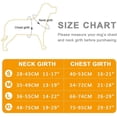thumbnail image 2 of HYwys Dog Harness for Medium Dogs, Anti-Loss Dog Leash Vest Adjustable Easy on Puppy Harness Dog Chest Harness, 2 of 6