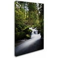 thumbnail image 2 of Trademark Fine Art "Waterfall in the Forest" Canvas Art by Philippe Sainte-Laudy, 2 of 3