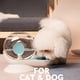 thumbnail image 3 of Dispensador automático de agua de 6 uds., fuente de bebida, filtro de tazón para gatos, perros y mascotas, 3 of 5