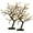 2PCS 0.45m 48 LED lights-Cherry blossom, variant on Ataucjin Lighted Artificial Bonsai Tree. abletop Bonsai Tree with Lights. Battery & USB Powered Bendable  Timer Lamp. DIY Artificial Tree Lamp for Home Bedroom Christmas Decor