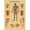 10, variant on Retro Organ Systems In The Human Body Posters Skeleton Anatomy Kraft Paper Prints DIY Vintage Home Room Art Wall Decor Paintings, 50*70cm, unframed.,23
