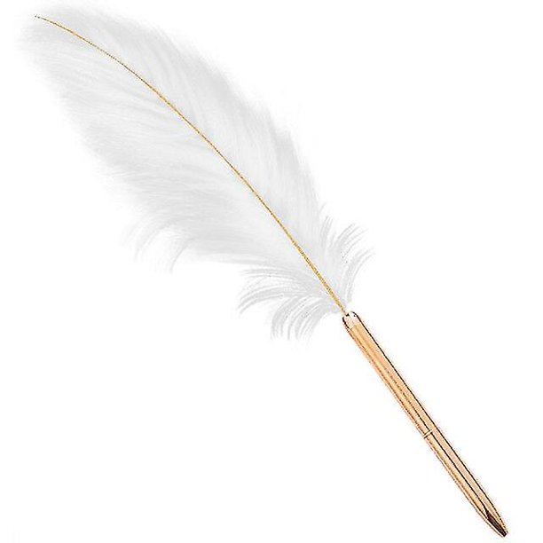 Bolígrafo de plumas Retro de 1,0mm, 2 uds., bolígrafo de firma de Metal creativo para estudiantes, escritura, escuela, oficina, suministros de papelería bonitos, regalo WD.WDQZL Hogar