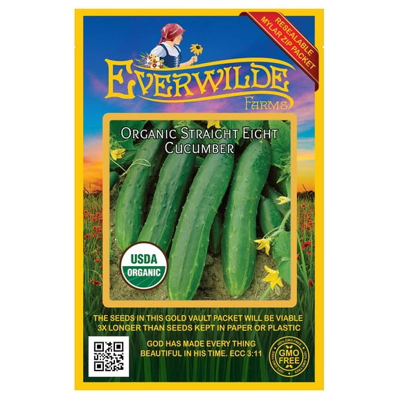 Everwilde Farms - 50 Organic Straight Eight Cucumber Seeds - Gold Vault Jumbo Bulk Seed Packet