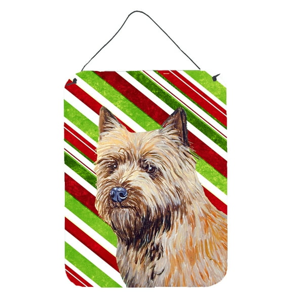Carolines Treasures LH9230DS1216 Cairn Terrier Candy Cane Holiday Christmas Wall or Door Hanging Prints 12WX16H