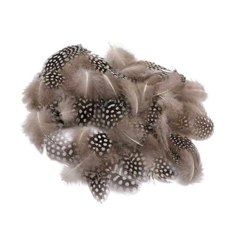 50 Pieces Guinea Fowl Feathers, Chicken Feathers, Feathers, Natural, Dotted Feathers for Crafting and Decorating Beige