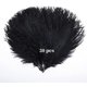 thumbnail image 1 of 30 piezas de plumas de avestruz negras a granel de 10 a 12 pulgadas para centros de mesa, fiestas, bodas, decoraciones para el hogar, atrapasueños, jarrones artesanales (negro), 1 of 5