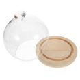 thumbnail image 4 of Preserved Flower Glass Dome with Wooden Base Transparent High Borosilicate Display Cloche for Desktop Flower Crafts, Dustproof Cover with Stable, 4 of 5