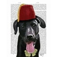 thumbnail image 2 of Fab Funky 20x24 Gold Ornate Wood Framed with Double Matting Museum Art Print Titled - Black Labrador With Fez, 2 of 4