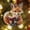 color#1, variant on Meggemo Seasonal Reading Fox Raccoon Christmas Tree Hanging Ornament Cute Bookworm Animal Festive Holiday Home Decoration