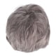 thumbnail image 2 of Peluca Gris De Anciano, Peluca Corta Gris Sintética Transpirable Para Hombres, Para Halloween Para Hombres, 2 of 7