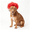 Red, variant on Funny Cat and Dog Wigs, Soft Pet Costume with Adjustable Straps, for Halloween Christmas Party Dress-Up, Ideal Gift for Pet Lovers