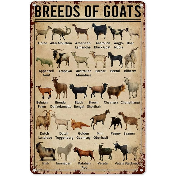 Goat Decorations Farmhouse Goat Art Wall Decor Goat Signs for Outside Goat Metal Sign Goat Signs Home Bar People Cave Office Shop Bathroom Signs Wall Decor Metal Tin Sign 8x12 Inch