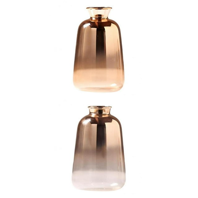 Abbracc 2x Glass Vase Floral Pot Flower Terrarium Container for Wedding Flowers Home
