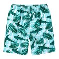 thumbnail image 6 of ZHOGXU Summer Boy Beachwear Lightweight Printed Tee Crewneck T Shirt Tops Shorts Sets 2PCS Outfits, 6 of 6