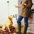thumbnail image 7 of Hanging Dog Training Doorbell for Potty Communication and Behavior Supplies, 7 of 7