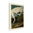 thumbnail image 4 of John James Audubon 'Whooping Crane' Canvas Art, 4 of 4