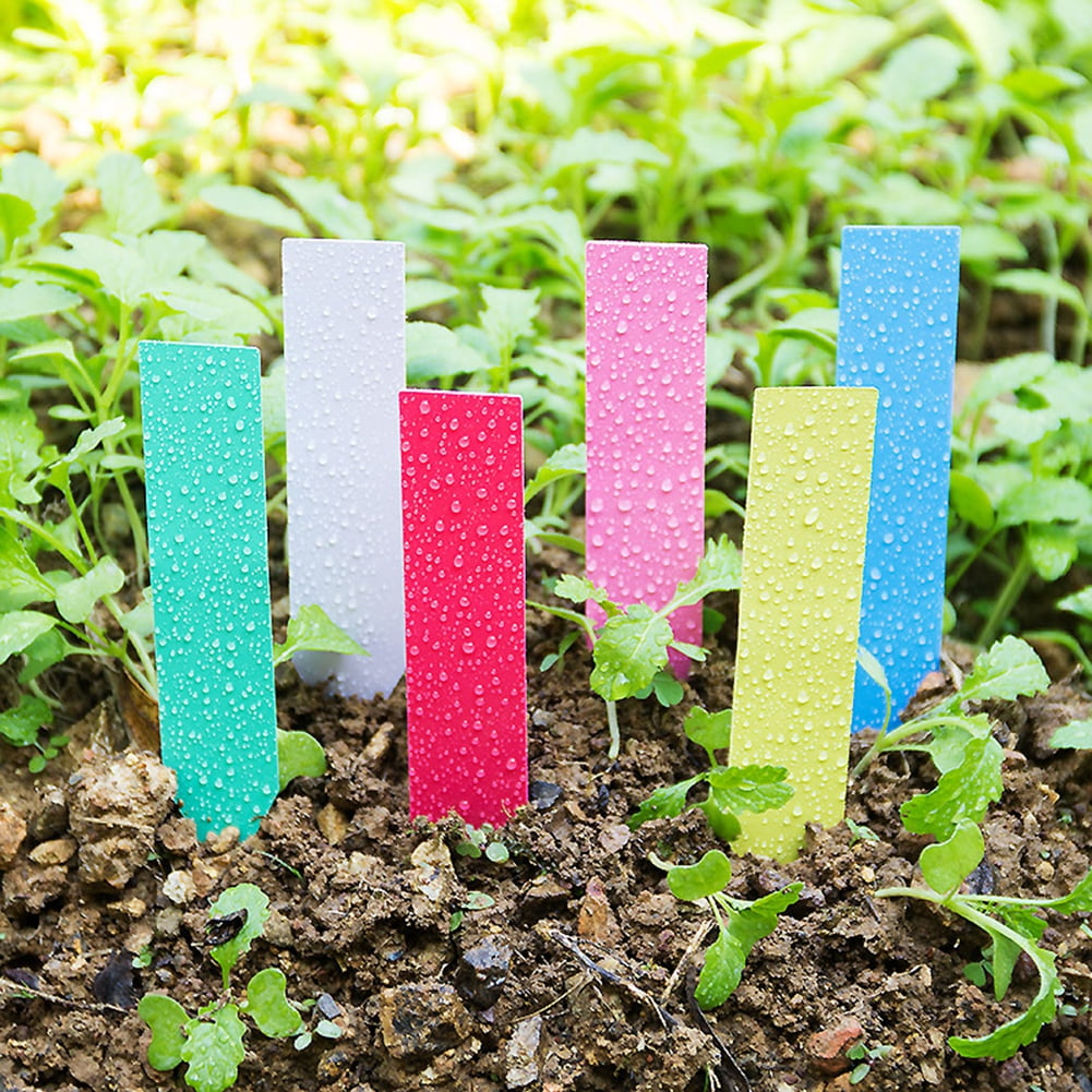 100Pcs DIY Plastic Plant Seed Labels Pot Marker Nursery Garden Stake Tags 5*1cm