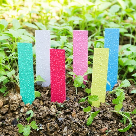

jiaroswwei 100Pcs Pot Stake Tags Nursery Stick Marker Tool Seed Tray Plastic Plant Labels