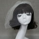 thumbnail image 3 of Boda Del Birdcage De Novia Velo De La Cara Del Fascinator Velos De La Noche Con El Peine Sunnimix Nupcial velo de la cara, 3 of 8